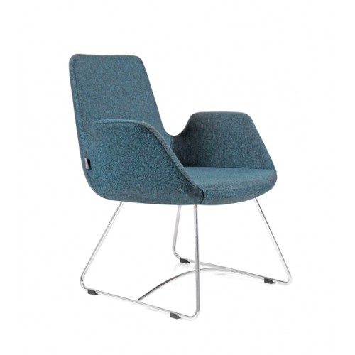 Maki Misafir Maki Misafir