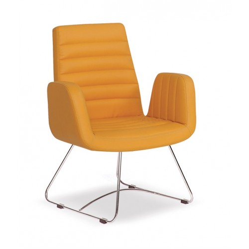 New Spectrum Misafir